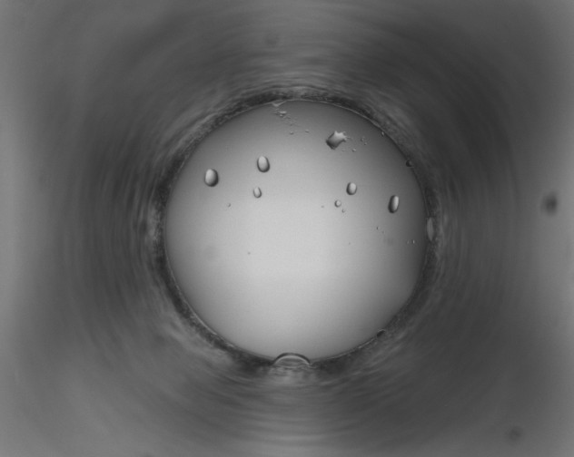 X0000116670077200912291707