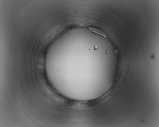 X0000116670078200912291707