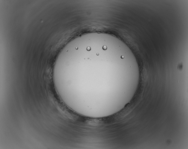 X0000116670079200912291707