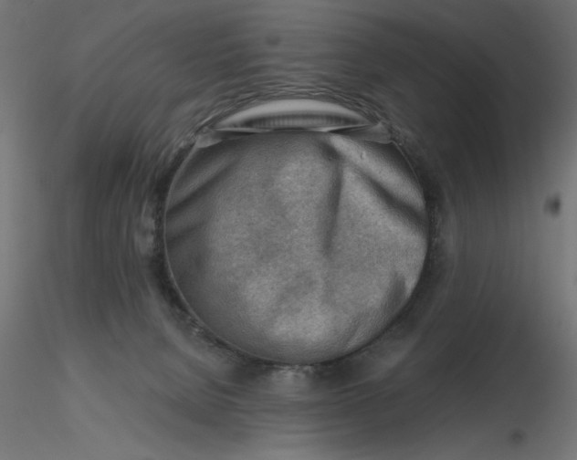 X0000116670080200912291707