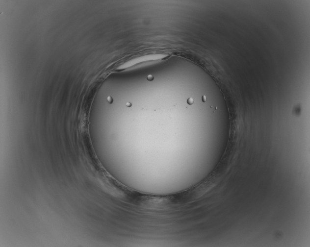 X0000116670081200912291707