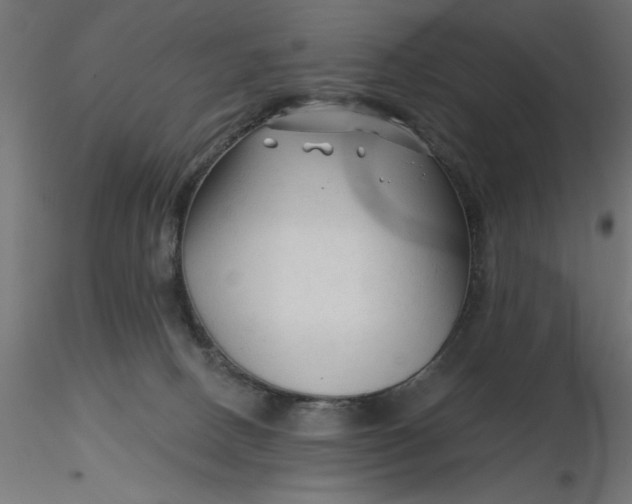 X0000116670082200912291707