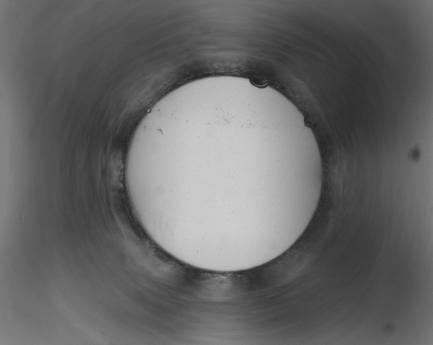 X0000116670083200912291707