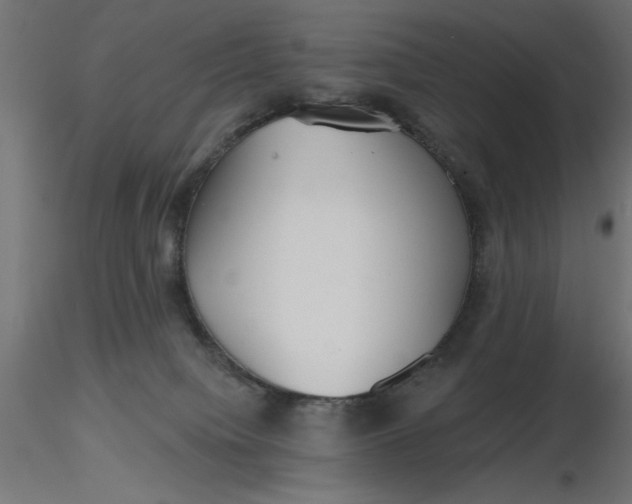 X0000116670084200912291707