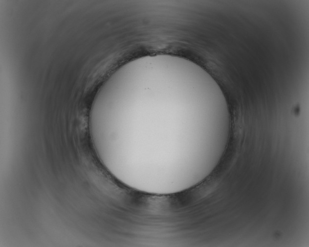 X0000116670085200912291707