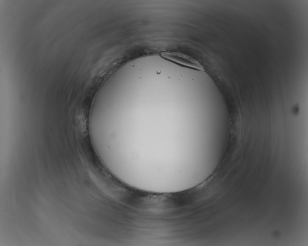 X0000116670086200912291707