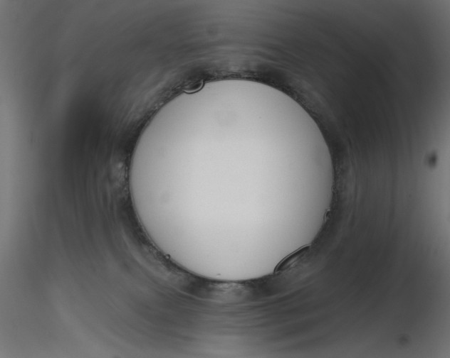 X0000116670087200912291707