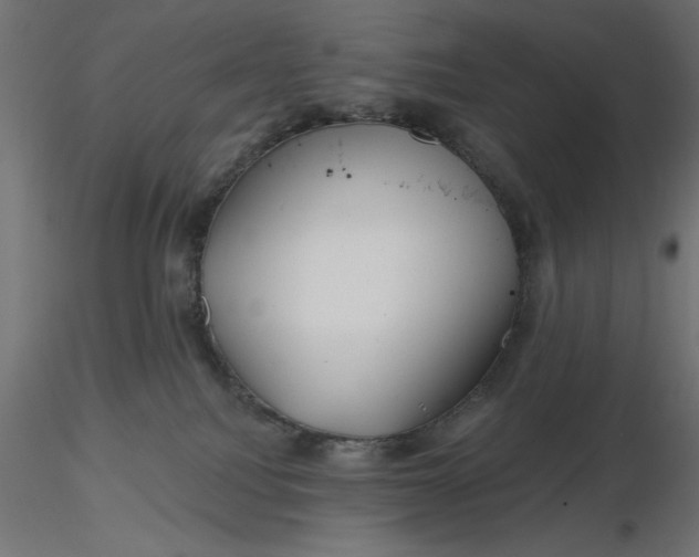 X0000116670088200912291707