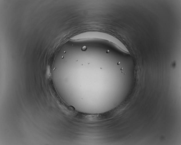 X0000116670089200912291707