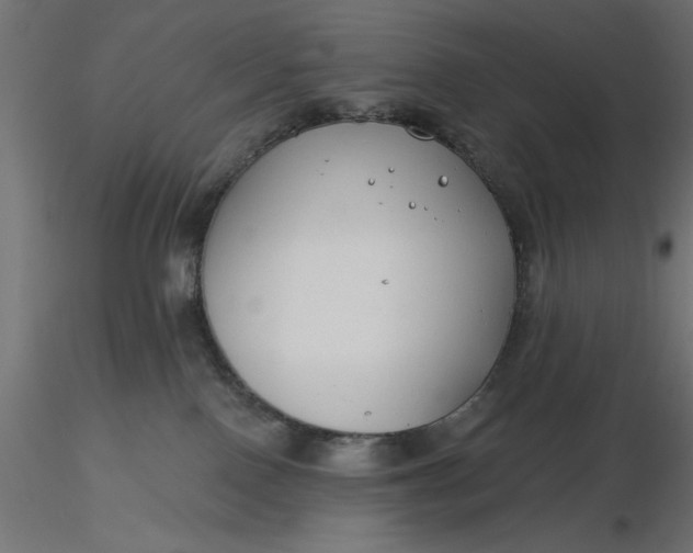 X0000116670090200912291707