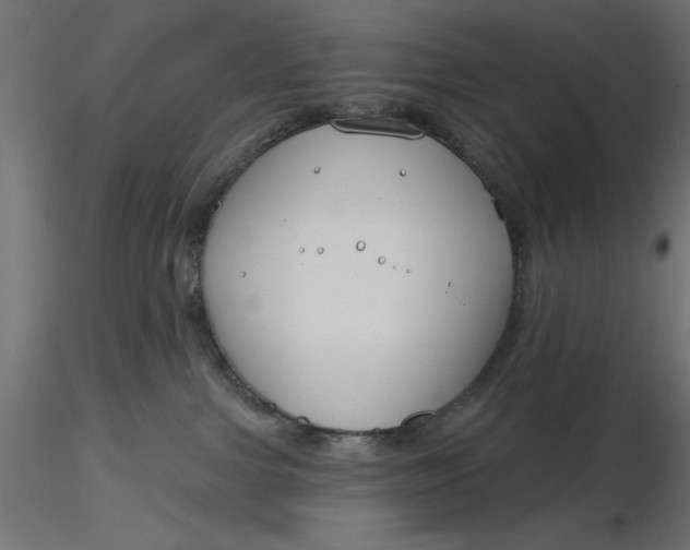 X0000116670091200912291707