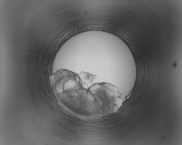 X0000116670093200912291707