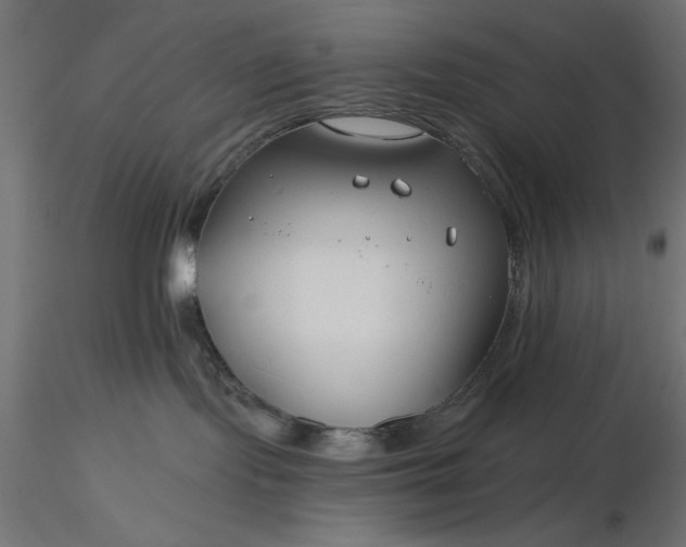 X0000116670095200912291707