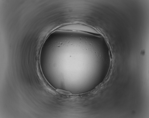 X0000116670097200912291707