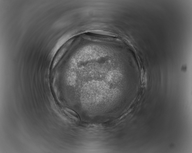 X0000116670099200912291707