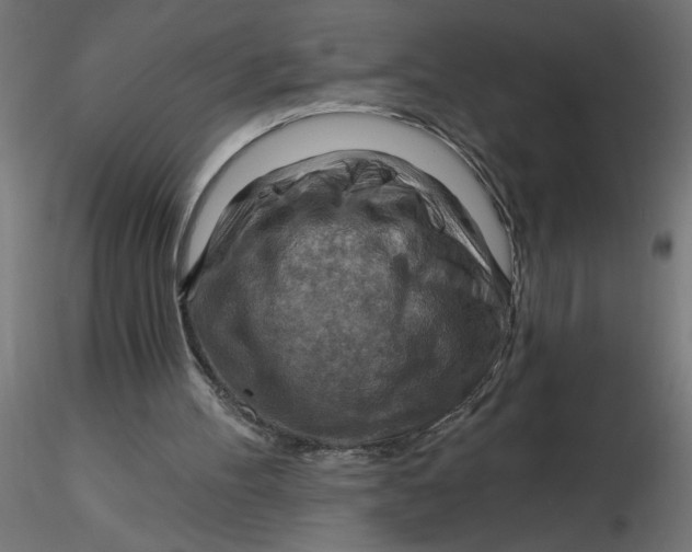 X0000116670100200912291707