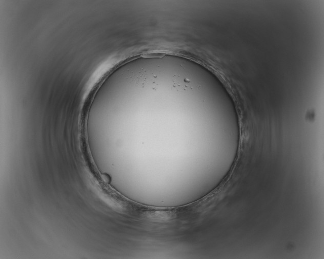 X0000116670102200912291706