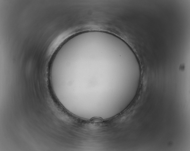 X0000116670103200912291706