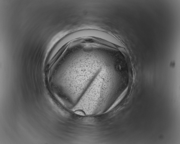 X0000116670104200912291706