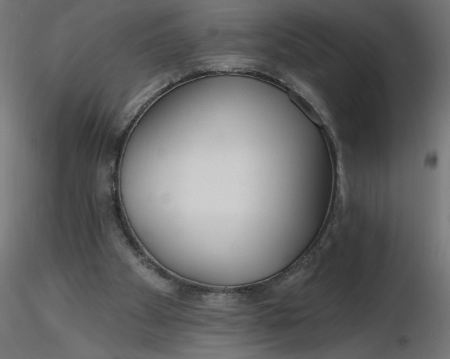 X0000116670105200912291706