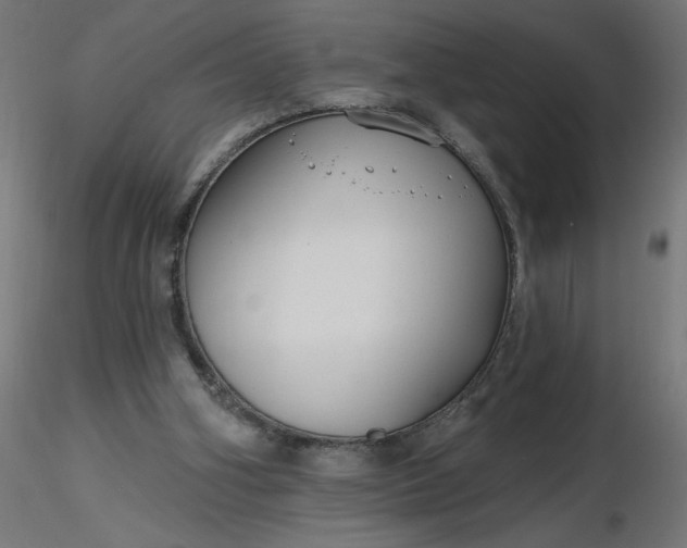 X0000116670106200912291706