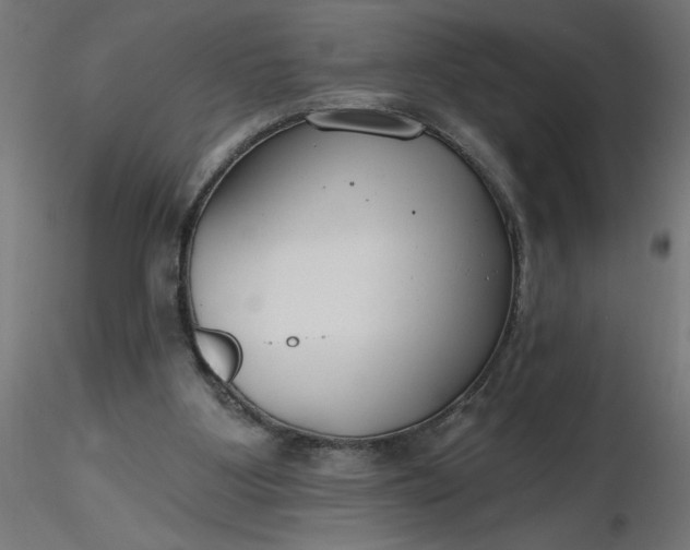 X0000116670107200912291706