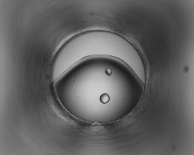 X0000116670108200912291706