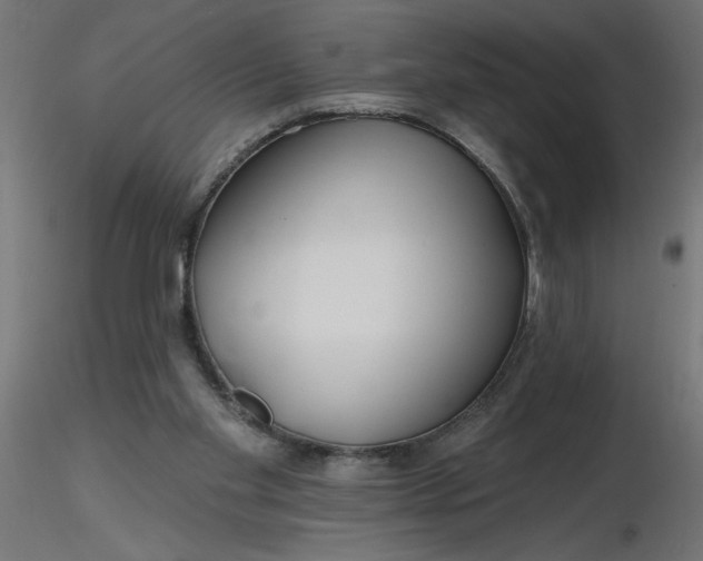 X0000116670109200912291706