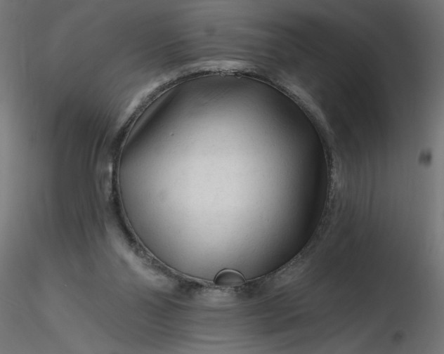 X0000116670110200912291706