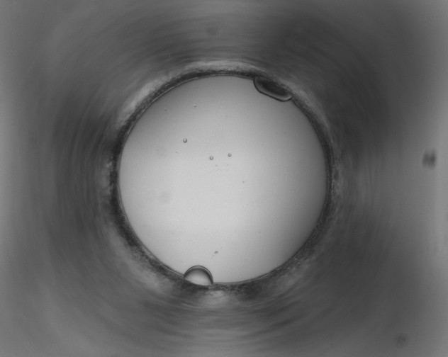 X0000116670111200912291706