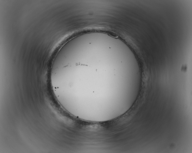 X0000116670112200912291706