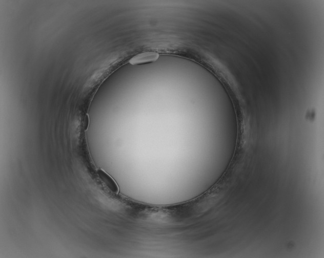 X0000116670113200912291706