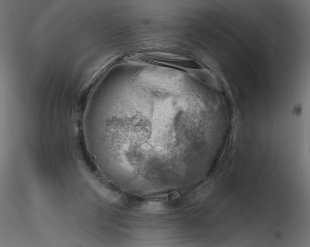 X0000116670114200912291706