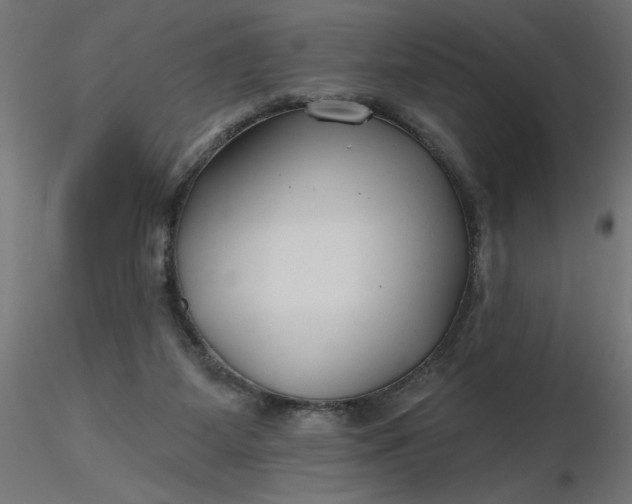 X0000116670115200912291706