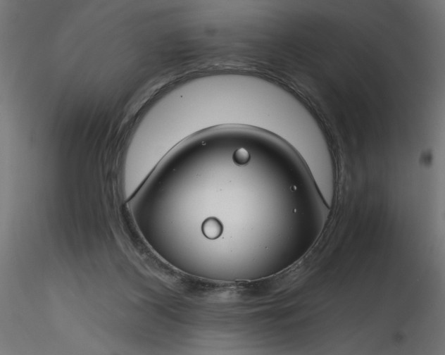 X0000116670116200912291706