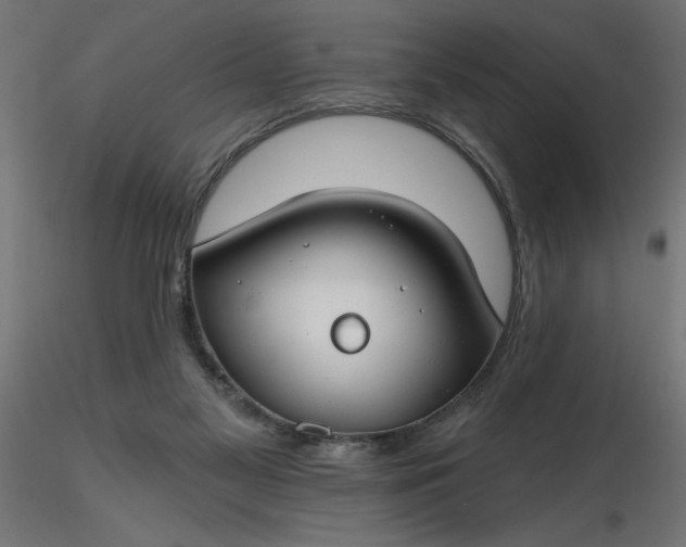 X0000116670117200912291706