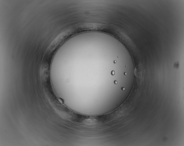 X0000116670119200912291706