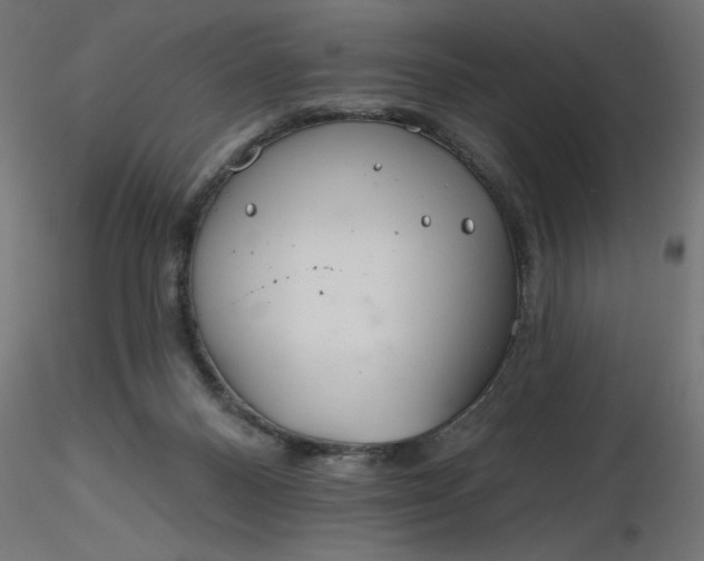 X0000116670120200912291706