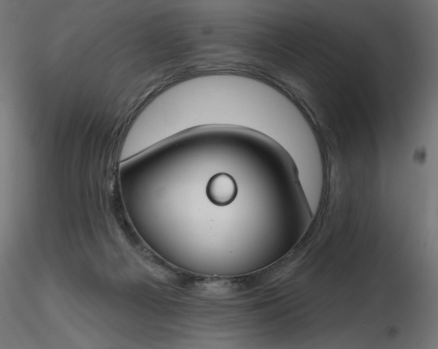 X0000116670121200912291706