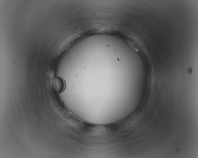 X0000116670123200912291706