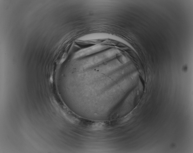 X0000116670124200912291706