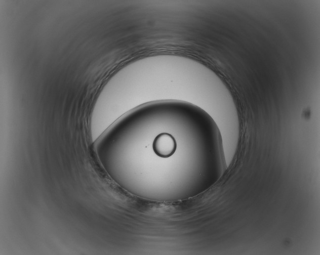 X0000116670125200912291706