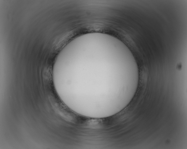 X0000116670126200912291706