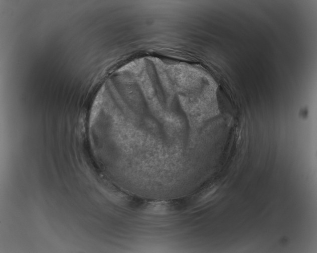 X0000116670127200912291706