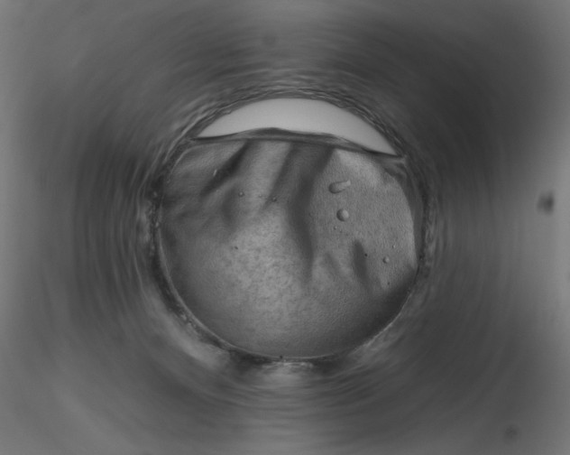 X0000116670128200912291706