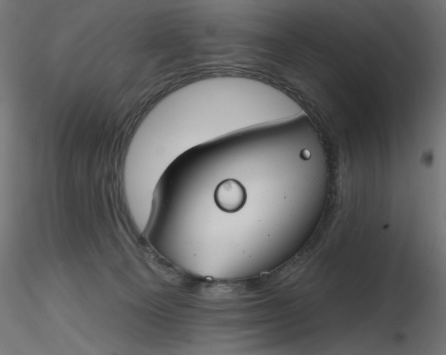 X0000116670129200912291706