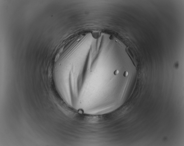 X0000116670131200912291706