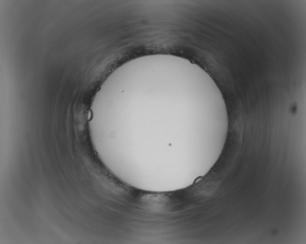 X0000116670133200912291706