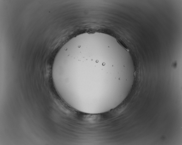 X0000116670135200912291706