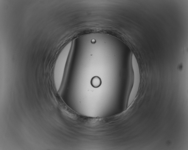 X0000116670136200912291706